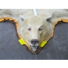 Image 2 : TANNED BROWN BEAR HIDE WITH HEAD MOUNT