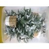 Image 5 : CHRISTMAS DÉCOR