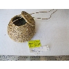 Image 1 : LIDDED SWEET GRASS WOVEN BASKET