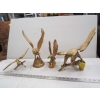 Image 1 : 4 BRASS EAGLES
