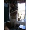 Image 1 : COLLECTABLE VINTAGE MEMORABILIA - BOXING GLOVES, BASEBALL BAT & GLOVES, ETC.