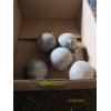 Image 1 : 5 DOWNRIGGER WEIGHTS