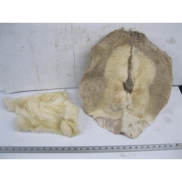 RABBIT HIDE & A TANNED BUTT