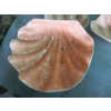 Image 2 : DECORATIVE SHELL BOWLS