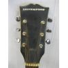Image 2 : SILVERTONE GUITAR