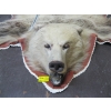 Image 2 : TANNED GRIZZLY HIDE WITH HEAD MOUNT