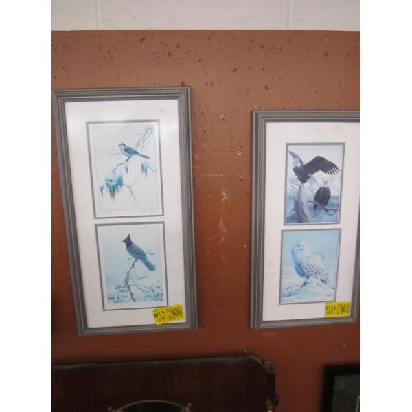 2 MATCHING FRAMED PICTURES OF THE BIRDS