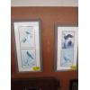 Image 1 : 2 MATCHING FRAMED PICTURES OF THE BIRDS