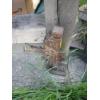 Image 2 : RAILWAY JACK & A RAILWAY SPIKE REMOVAL TOOL