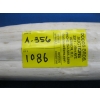 Image 2 : WALRUS TUSK