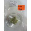 Image 2 : 2014 1 OZ .999 SILVER W/GOLD PLATED MAPLE LEAF $5 COIN (TAX EXEMPT)