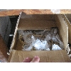 Image 3 : 2 CASES OF BRASS KNOBS