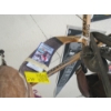 Image 2 : VINTAGE SPORTS EQUIPMENT - FOOTBALL, MICHAEL JORDAN BASKETBALL HOOP, SHOULDER PADS, GLOVES, ETC.