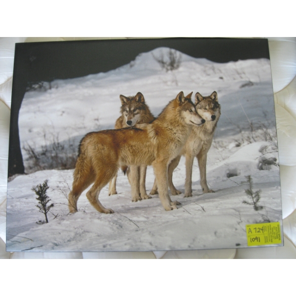 WANDA & BILL KEAY TIMBERWOLF PICTURE