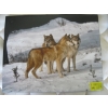 Image 1 : WANDA & BILL KEAY TIMBERWOLF PICTURE