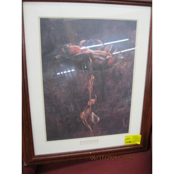 FRAMED PRINT BY ANNE GEDDES
