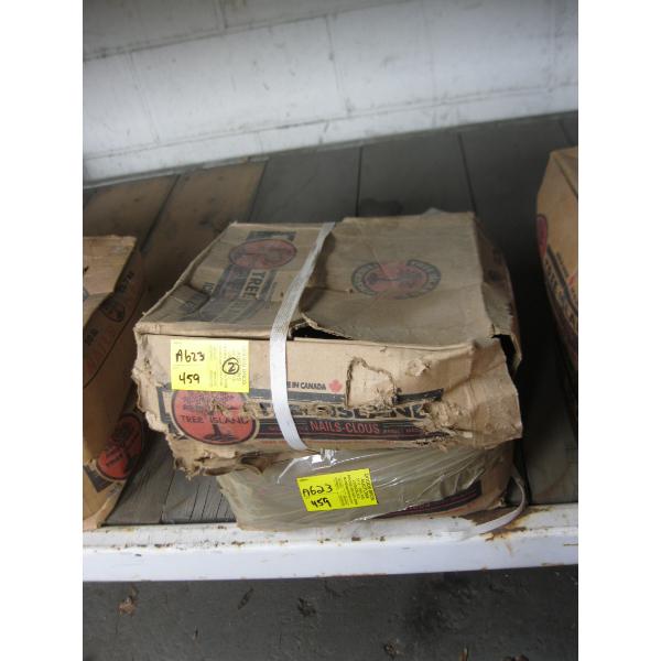 2 BOXES OF NAILS