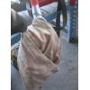 Image 3 : TORO BLOWER VACUUM