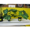 Image 2 : 3 ARTIFICIAL PLANTS