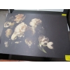 Image 2 : 3 LG. FRAMED PICTURES