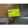 Image 3 : ANTIQUE BRASS INLAID TRUNK