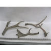 Image 2 : HORNS