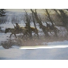 Image 2 : FRAMED PRINT OF THE FIRST NATIONS ON HORSEBACK