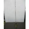 Image 1 : FISHING ROD & REEL
