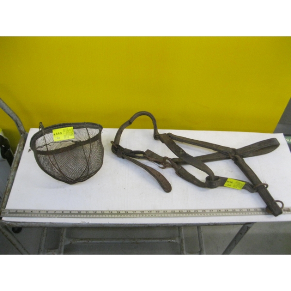 HORSE HALTER & NOSE/MOUTH COVER