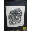 Image 1 : FRAMED NUMBERED PRINT BY PARK OF THE TIGER