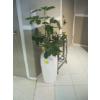 Image 1 : LG. PLANTER W/ARTIFICIAL PLANT