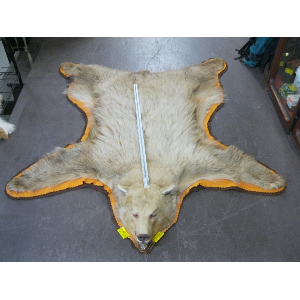 TANNED BROWN BEAR HIDE WITH HEAD MOUNT