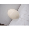 Image 2 : 6 OSTRICH EGGS