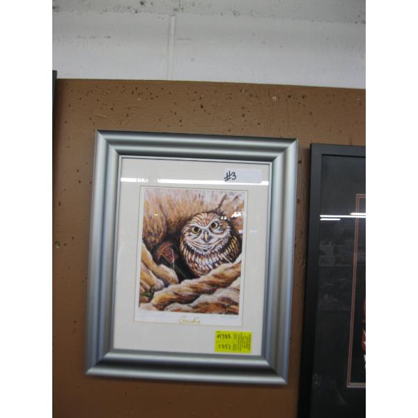 FRAMED PRINT BY GORDIE OF OWL