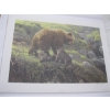 Image 1 : LG. ROBERT BATEMAN PRINT - GRIZZLY & CUBS, 1631/2250