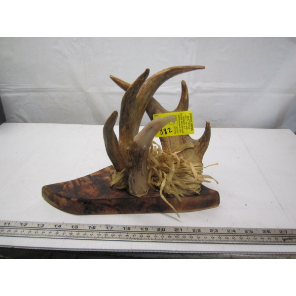 DECORATIVE CARVED HORN