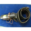 Image 1 : LEATHER SHELL BELT W/GUN HOLSTER