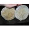 Image 3 : 2 SEA CORALS