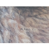 Image 2 : FRAMED WOLF PRINT BY ANDREW KISS