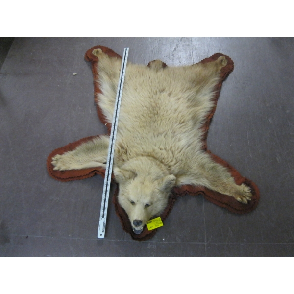 SMALL BROWN BEAR RUG W/HEAD MOUNT