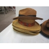 Image 3 : ASST. HATS