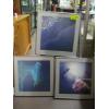 Image 1 : 3 FRAMED PHOTOGRAPHS