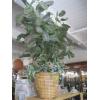 Image 1 : ARTIFICIAL PLANT