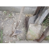 Image 3 : BUNDLE OF ASST. GARDEN TOOLS