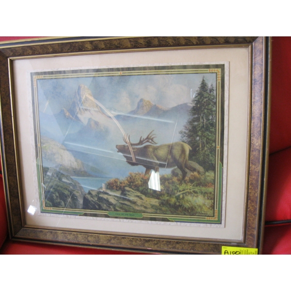 FRAMED PRINT CALL OF THE WILD