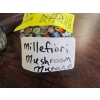 Image 3 : 3 MILLEFIORI MURANO GLASS ITEMS - PEAR, MUSHROOM & SMALL CANDLEHOLDER