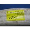 Image 2 : WALRUS TUSK