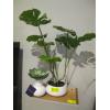 Image 1 : 2 PIECES OF DÉCOR