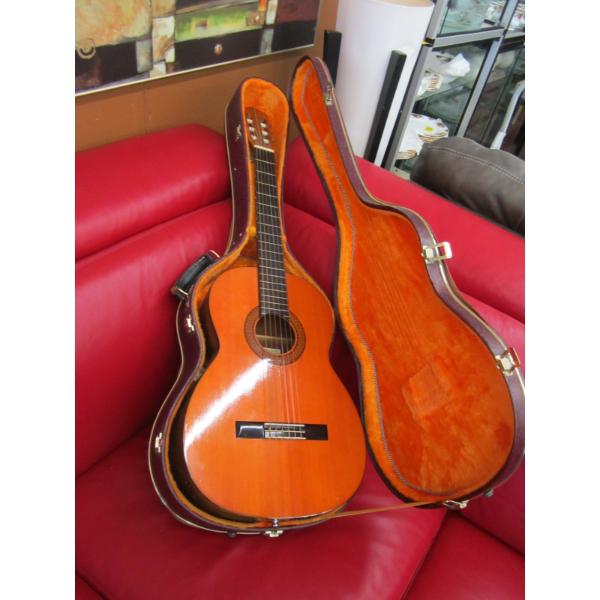 SUZUKI GUITAR IN CASE, NYLON & METAL STRING