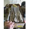 Image 1 : ASST. GLOVES